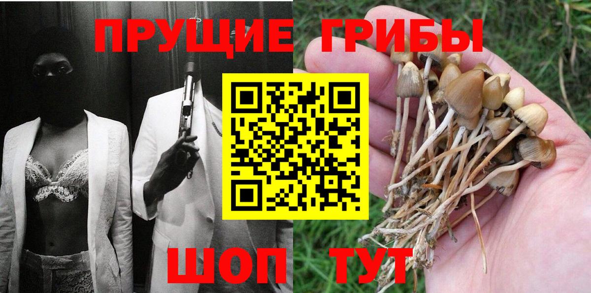 Галлюциногенные грибы MAGIC MUSHROOMS Чернушка