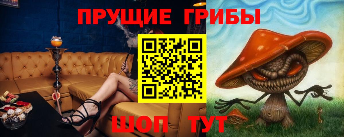 Чернушка  Псилоцибиновые грибы мицелий  Псилоцибиновые грибы Cubensis  Вход с VPN 